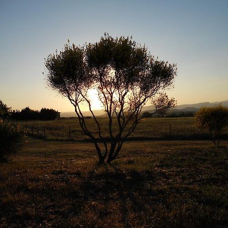 Agriturismo Il Grillo Parlante 피틸리아노 외부 사진