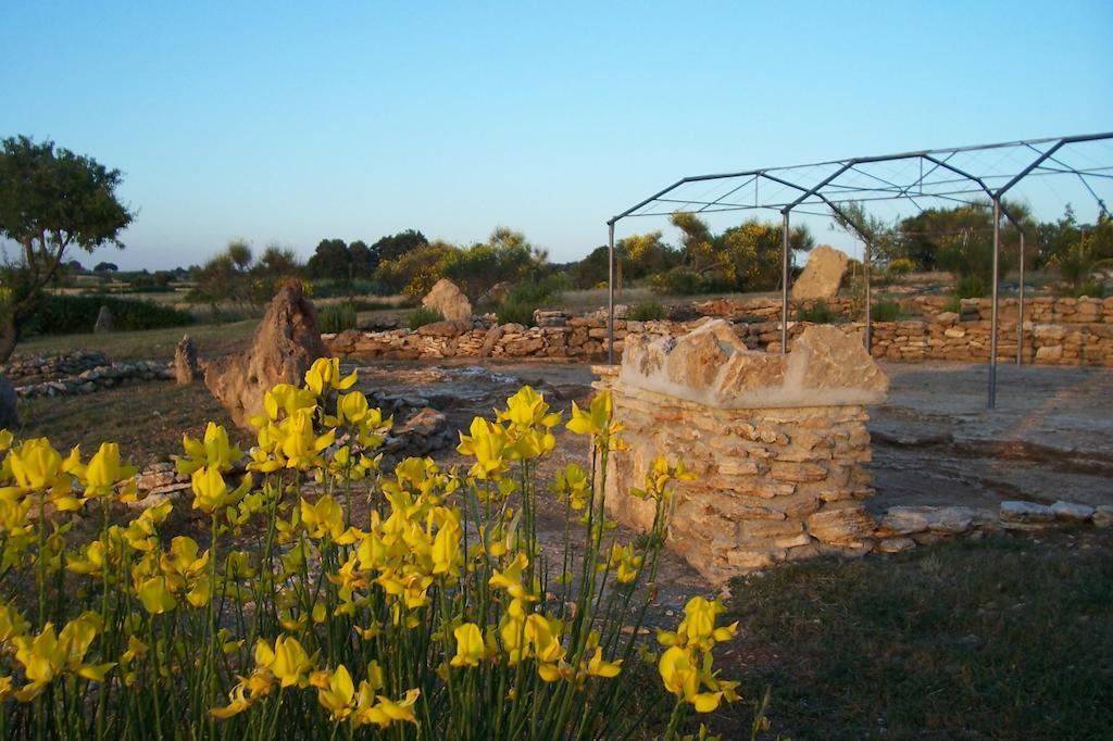 Agriturismo Il Grillo Parlante 피틸리아노 외부 사진